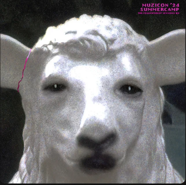 Muzicon '24 Summercamp